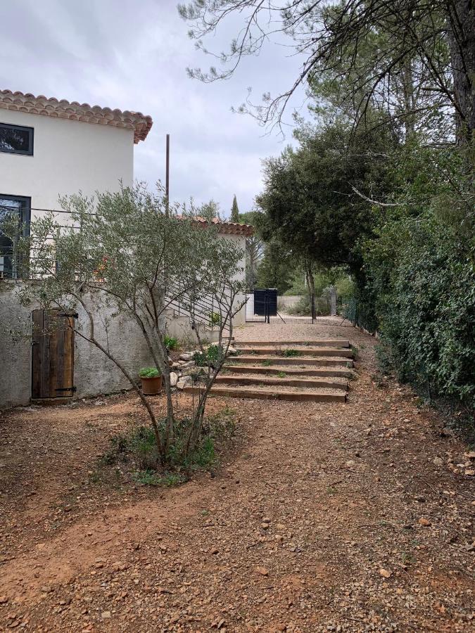 Magnifique Villa Classee 4* Meuble De Tourisme Flassans-sur-Issole Exteriör bild